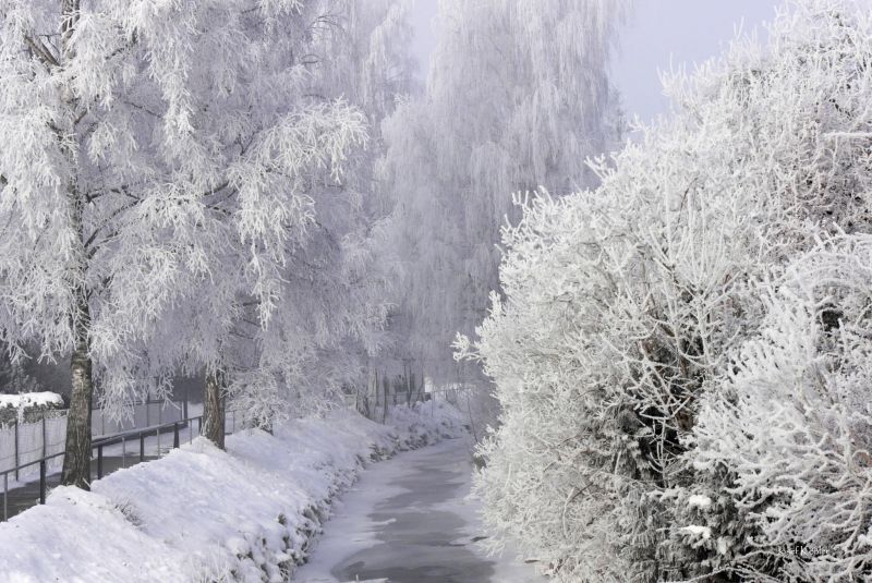 Dirlewanger Winterlandschaft